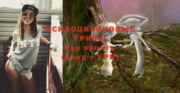 ECSTASY Алексин